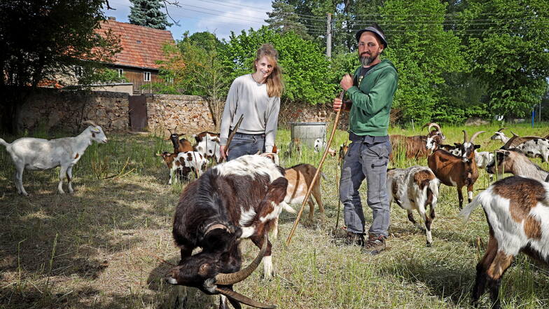 Anja und Stefan Eulitz mit ihren Ziegen auf der Weide in Zscheilitz. Von hier aus werden sie gemeinsam am Sonntagmorgen zum Handwerkermarkt nach Gostewitz laufen.