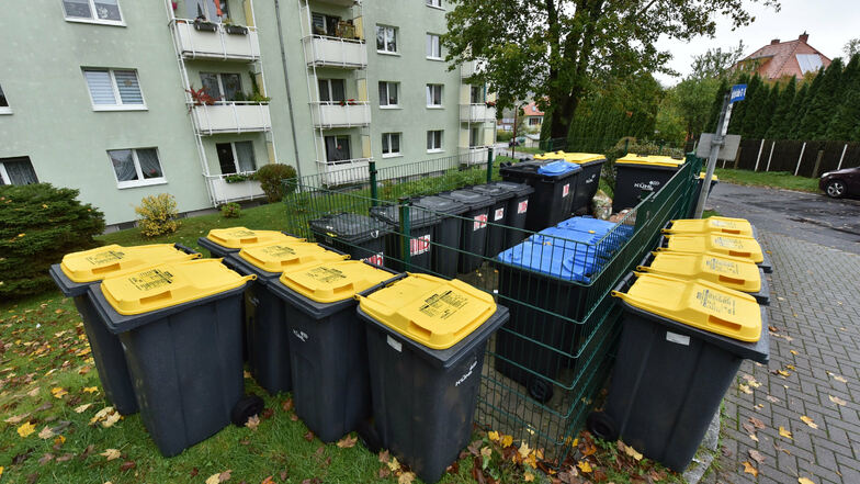 Im Wohngebiet "Auf der Scheibe" wurde gut ein Dutzend Tonnen pro Müllplatz aufgestellt.