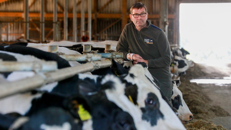 Landwirt Peter Beiersdorfer aus Oberfranken hat die insolvente Agrargesellschaft in Hainewalde gekauft und baut sie zu einem neuen Betrieb um.