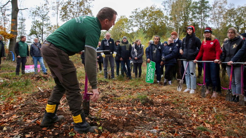 Gutes tun für einen gesunden neuen Wald: Christian Steinke von der Stiftung Wald für Sachsen erklärte am Mittwoch Sportlern bei Pulsnitz, wie man Bäume richtig pflanzt. Dann griffen alle zur Schaufel.