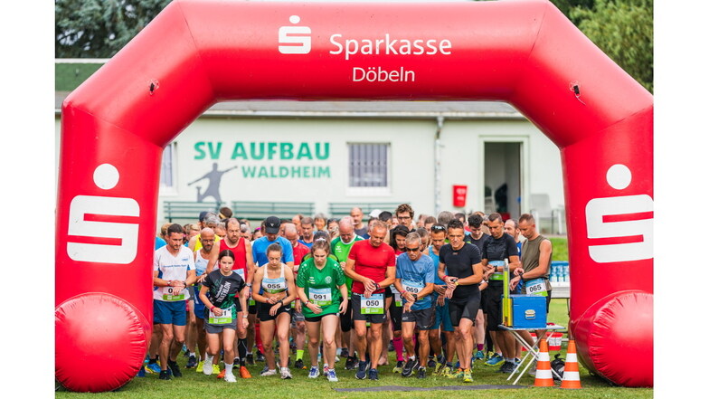 Start zum Eichberglauf am Sonnabend: Fast 70 Sportler gingen auf die lange Strecke über 14 Kilometer.