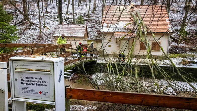 Baum auf Dach: Spendenaktion für beschädigte Bergwachthütte in Rathen