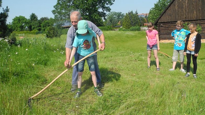 Hartwig Balzke zeigte den Schülern das Gras-Mähen mit der Sense. Die Schüler sollten zudem Holz in den Backofen tragen und Pflanzen auf dem Hof gießen.