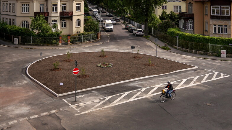 Pflanzen statt Asphalt: So wird der Königswaldplatz in Dresden umgestaltet
