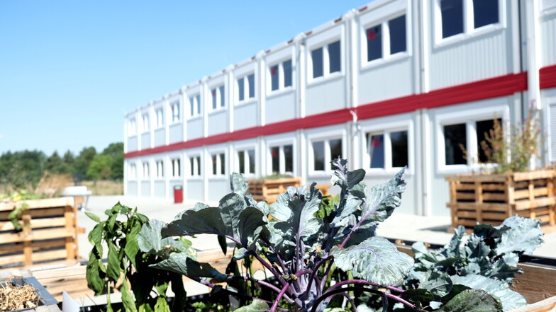 Noch steht in Weinböhla nur ein Container-Bau, doch schon in diesem Jahr könnte der Bau des neuen Schulgebäudes starten.