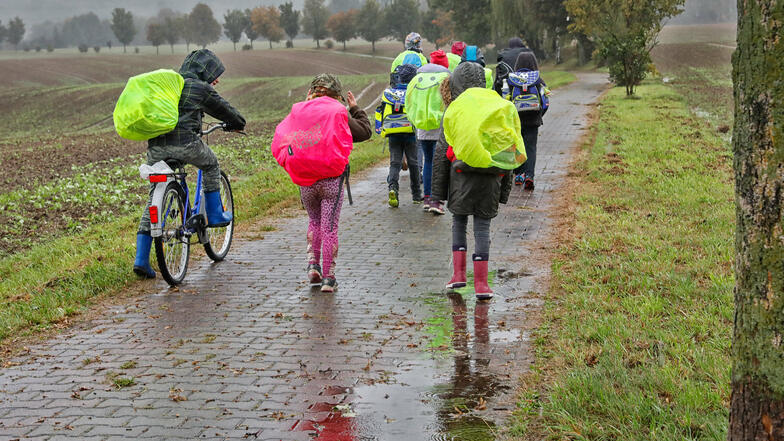 Langer Schulweg wegen einer Straßensperrung: Bei Wind und Wetter laufen die Schulkinder über einen Radweg in den Lawalder Ortsteil Sand.