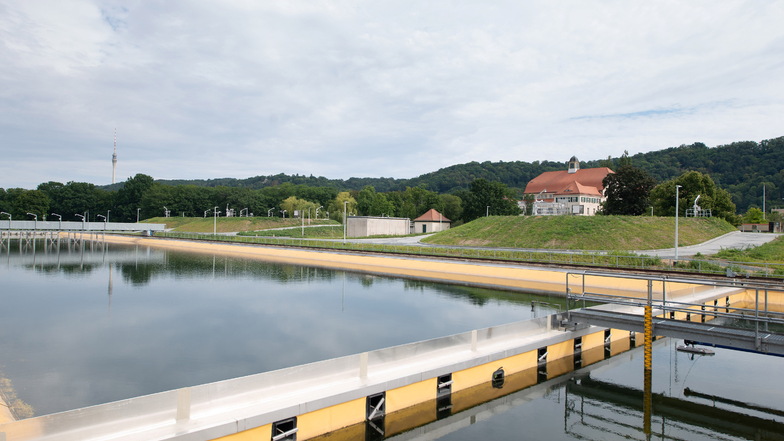 Über ein System von zahlreichen Becken wird im Hosterwitzer Werk Wasser aus der Elbe, Uferfiltrat und Grundwasser aufbereitet.