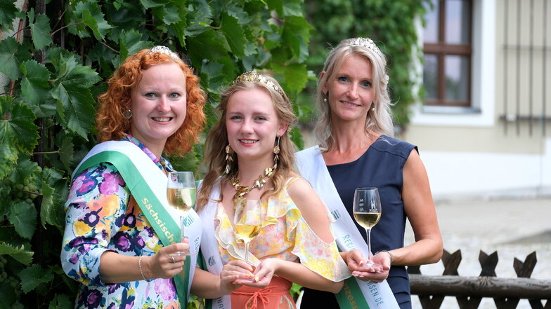 Die neue Sächsische Weinkönigin Alona Chesnok (m.) und die Weinprinzessinnen Nicole Baumgärtel (rechts) und Sabine Leonhardt in der Meißner Winzergenossenschaft.