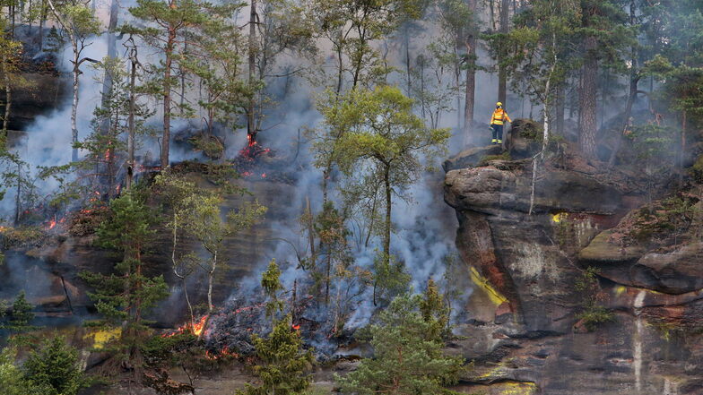 Die brennende Sächsische Schweiz war kaum einzudämmen. Hier schaut ein Helfer auf Rauch und Feuerstellen nahe des Friensteins.
