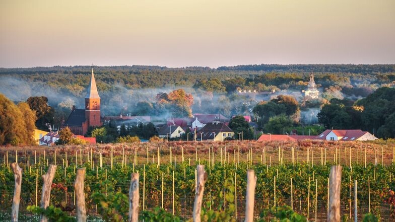 Reisetipp Nordschlesien: Weinlandschaften in dreitägiger Exkursion erkunden