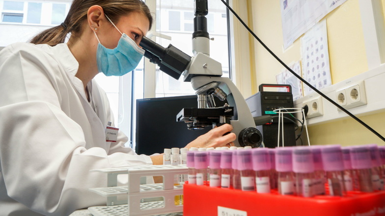 Dr. Christine Hofer untersucht im Medizinischen Labor Ostsachsen in Bautzen eine Blutprobe. In den drei Standorten des Labors in Bautzen, Görlitz und Dresden arbeiten insgesamt etwa 300 Menschen.