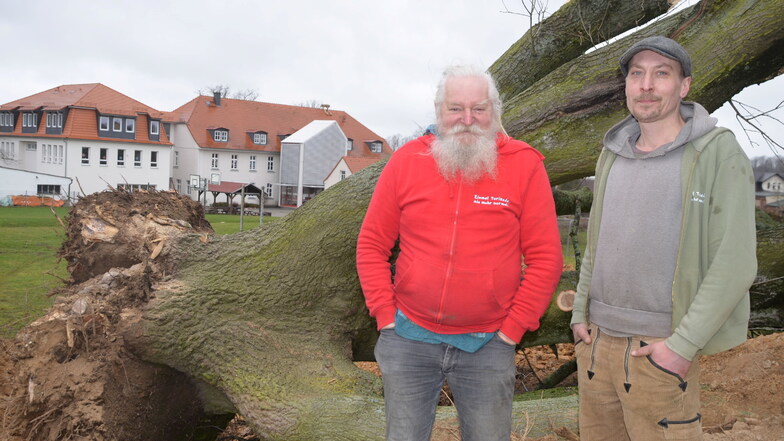 Jürgen Bergmann (links) und Peter Idziaschek von der Künstlerischen Holzgestaltung in Zentendorf lassen nicht zu, dass die Eiche Feuerholz wird.