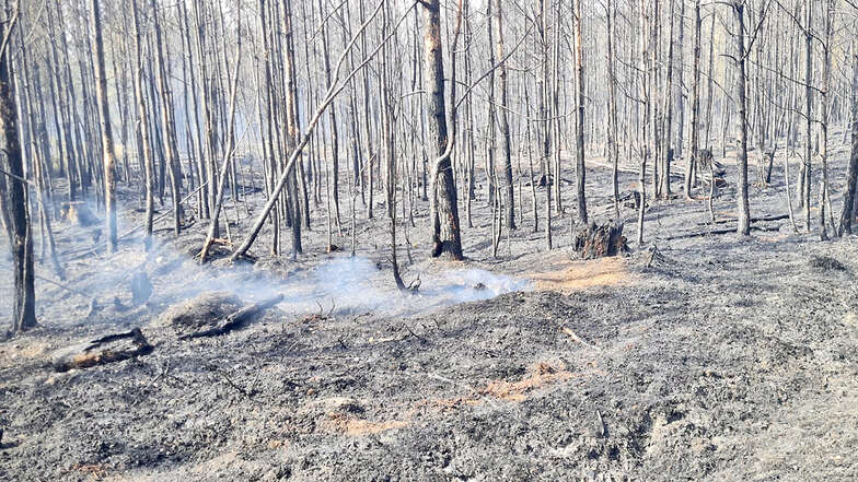 Eine einzige heiße Fläche: Zahlreiche aktive Glutnester machen auf dem betroffenen Areal im Wald bei Würschnitz den Kameraden zurzeit noch das Leben schwer.