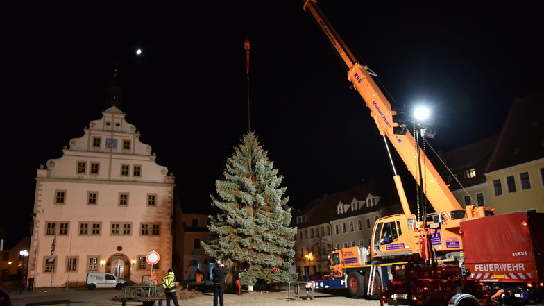 Es ist vollbracht. Der Dippser Marktplatz hat wieder einen Weihnachtsbaum.