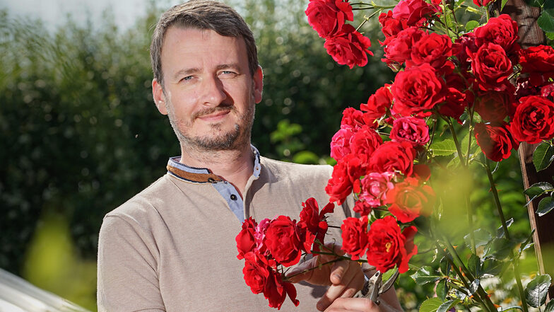 Stefan Michalk hat die Faszination des Gärtnerns entdeckt. Rosen gehören für ihn in seiner Parzelle Nummer 94 im Kleingartenverein in Doberschau bei Bautzen zum Muss. Er setzt sich für ökologisches, naturnahes Gärtnern ein – zum Beispiel im Verein zur Erh