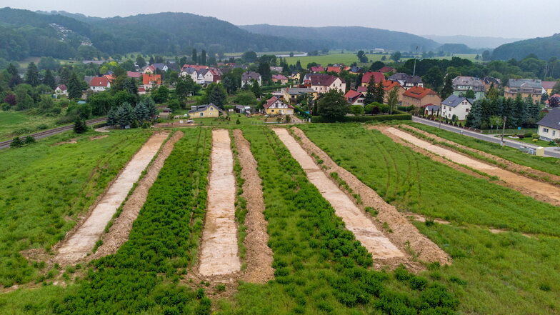 In Westewitz „Am Kirschberg“ wird ein neues Wohngebiet gebaut. Ein archäologischer Fund hat die Baupläne kurzzeitig gestoppt.