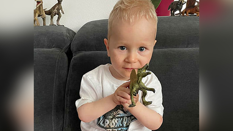 Schau mal, ein Dino. Der zweieinhalbjährige John aus Sebnitz kann heute selbstständig sitzen und mit der Plastikfigur spielen.