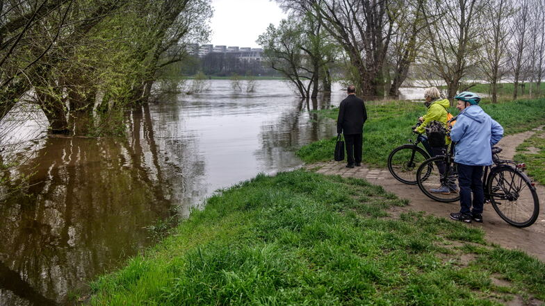 Die Prießnitzmündung ist kaum noch zu erkennen, die Elbe drückt mittlerweile kräftig in den Zufluss in der Neustadt.