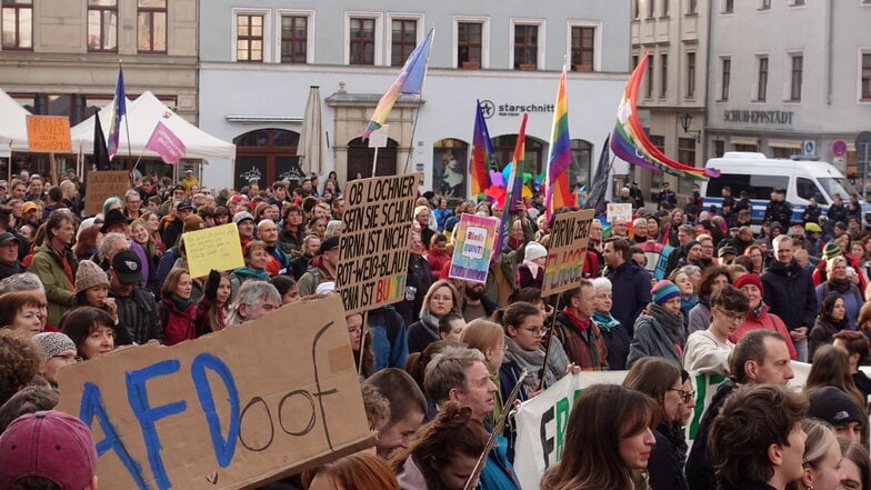 Demo von "Solidarisches Pirna", hier im März 2024: "Demokratie verteidigen - kein Platz für Rechtsextremismus."