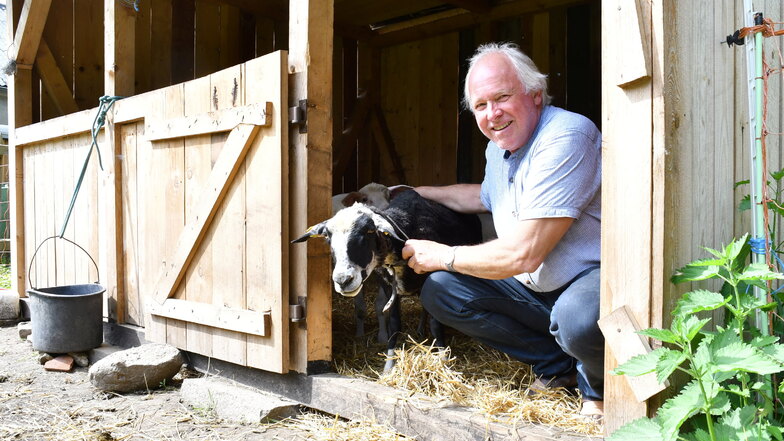 Der Vereinsvorsitzende Steffen Jakob vom Wunder Land Wachau. Insgesamt gibt es dort rund 20 Schafe und Ziegen, aktuell sogar fünf Lämmchen.