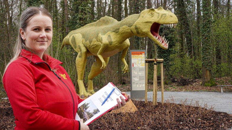 Linda Rötschke, verantwortlich für Marketing im Saurierpark Kleinwelka, präsentiert den neuen imposanten Metriacanthosaurus.