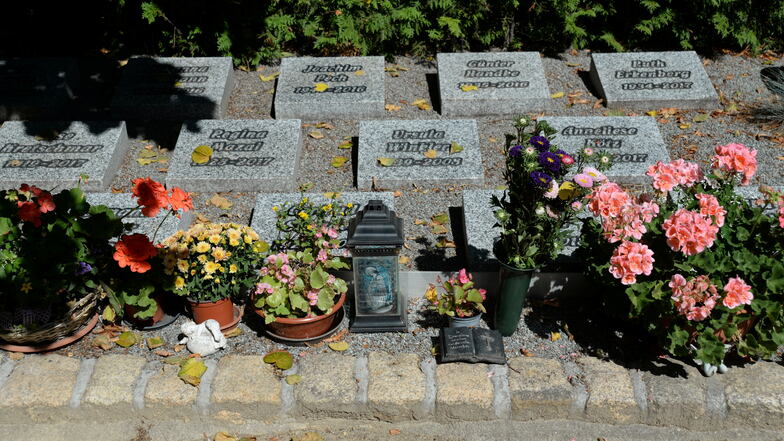 Gemeinschaftliche Urnengrabanlagen auf dem Waldfriedhof in Niesky.