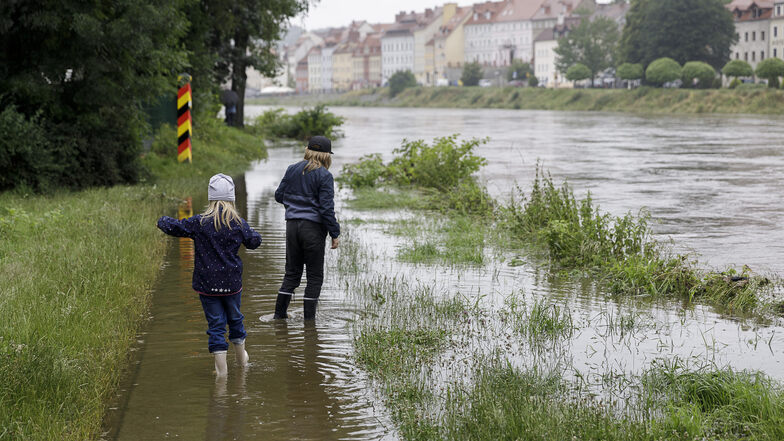 Hochwasser an der Görlitzer Neisse am Wochenende