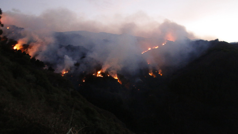 Der Brand war am Samstagabend nahe des Ortes Valleseco ausgebrochen und hatte sich schnell ausgebreitet. 