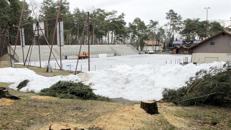 Im Februar waren die ersten Bäume für den Bau des neuen Eisstadions gefallen.