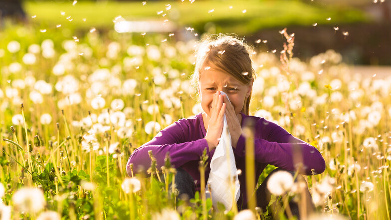 Rund ein Fünftel aller Bundesbürger hat derzeit Probleme mit Allergien oder Heuschnupfen.