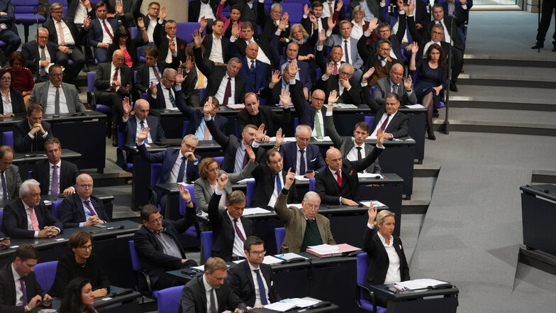 Die AfD-Fraktion stimmt für ihren Antrag bei der konstituierenden Sitzung des neuen Bundestags.