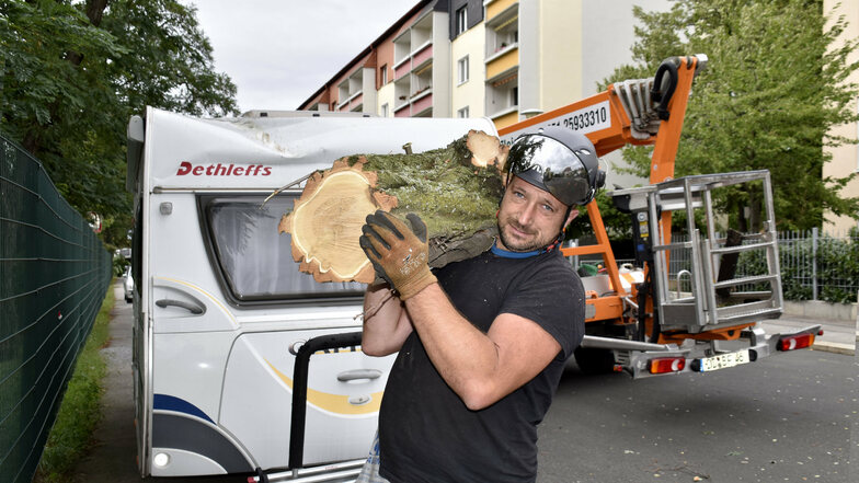 Jörg Kowar von der Baumpflege Fleischer schleppt ein Stück einer gekappten Robinien-Krone.