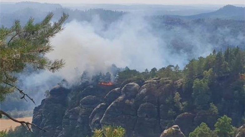 Am 2. August gegen 13 Uhr wurden von der Bahnstrecke im Elbtal aus Rauchfahnen entdeckt. 13.09 Uhr rückten die ersten Feuerwehren zu einem Waldbrand mitten in der Kernzone des Nationalparks Sächsische Schweiz aus.