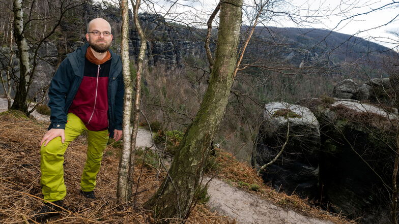 "Für wenige Bäume die Hand ins Feuer legen." Ronny Goldberg von der Nationalparkverwaltung Sächsische Schweiz an einer Moorbirke überm Schmilkaer Kessel.