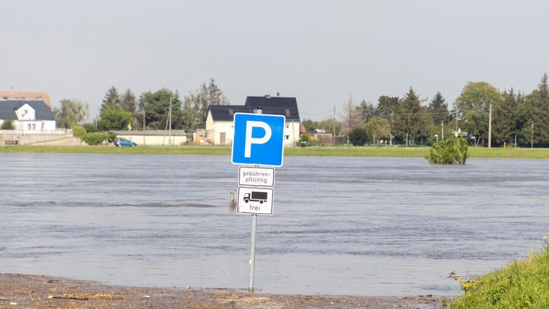 Die Elbe bei Strehla: Hier ist es auch schlecht mit Parken. Der Hochwasserscheitel wird in der Region Riesa erst am Freitagvormittag erwartet, in Meißen geht das Wasser schon seit Donnerstag zurück.