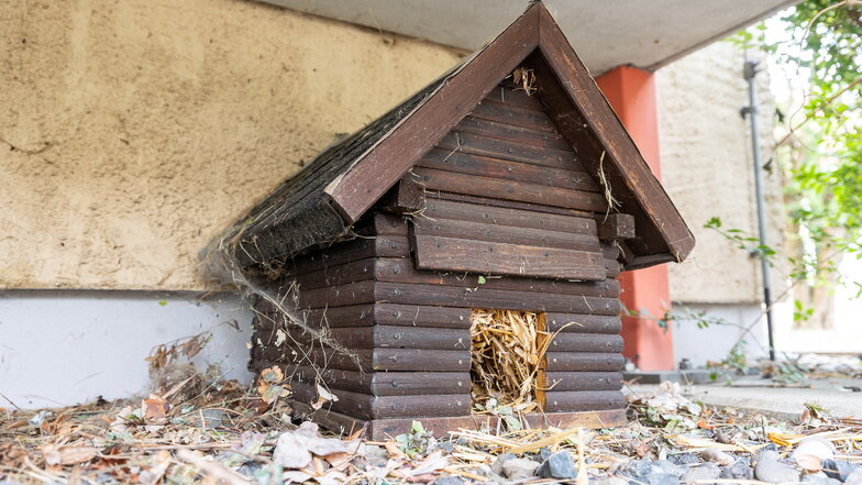 Das Igel-Häuschen: Grund für einen Streit zwischen Mieter und Vermieter in Heidenau.