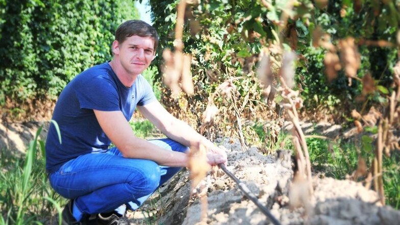 Mirko Demmel ist Obstbauer, aber schon viele Jahre im Hopfenanbau tätig.