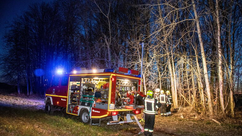 Drei Ortsfeuerwehren wurden am Sonnabend zu einem Waldbrand bei Reinsdorf gerufen. Dort brannte ein Stück eines Waldes.
