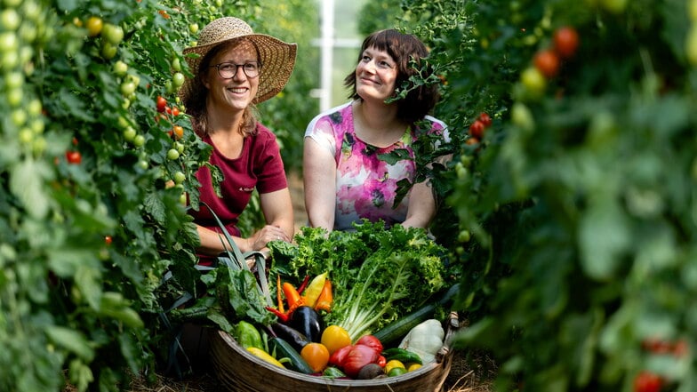 Anne Hladik (l.) und Tina Weßollek ernten am 21. August in Bischofswerda erst Sommergemüse und bringen es dann in der Gärtnerei auf den Tisch.