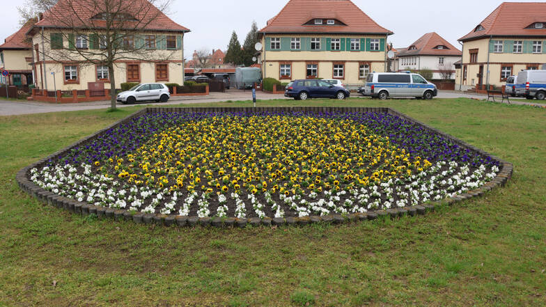 Hoyerswerda: Das Blühende Stadtwappen Von Lauta | Sächsische.de