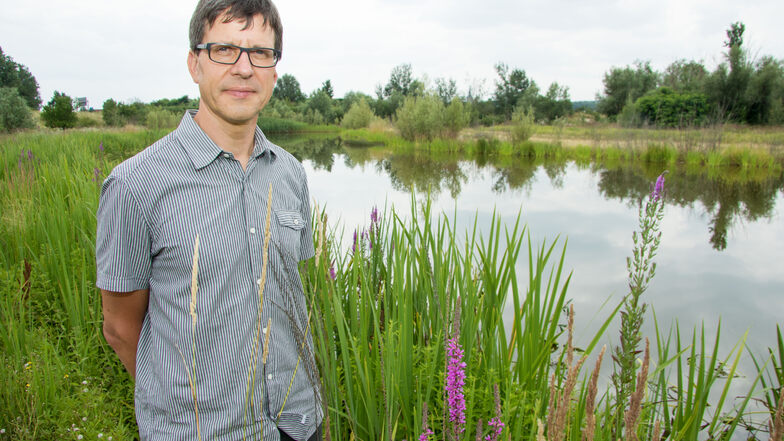 Diese grüne Idylle mit Wiesen und einem Teich gibt es direkt an der Kaditzer Kläranlage. Stabsstellenleiter Thomas Schöniger von der Stadtentwässerung kümmert sich um die Pflege der Flächen.