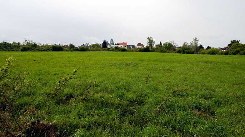 Auf dieser Wiese im Bautzener Ortsteil Oberkaina soll ein Wohngebiet entstehen.