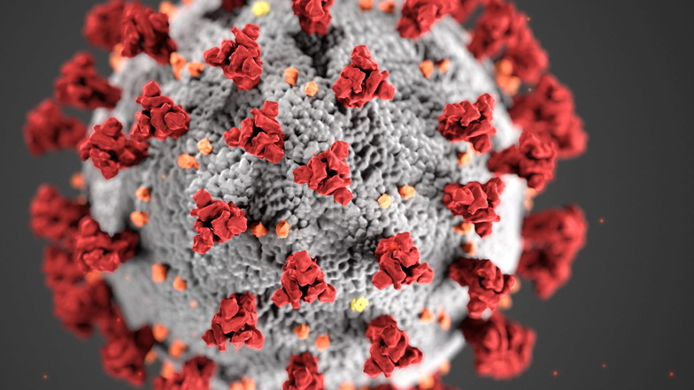 Elektronenmikroskopische Aufnahme eines Corona-Virus. Nach Ende der Pandemie stellt die Corona-Expertenkommission der Bundesregierung ihre Arbeit ein.