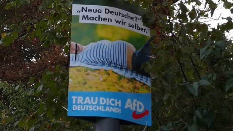 Frauke Petry auf AfD-Plakaten: Das sagen Juristen