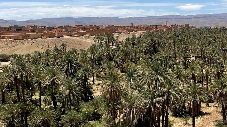 Üppiges Grün: Im Süden von Marokko gibt es zahlreiche Oasenstädte.