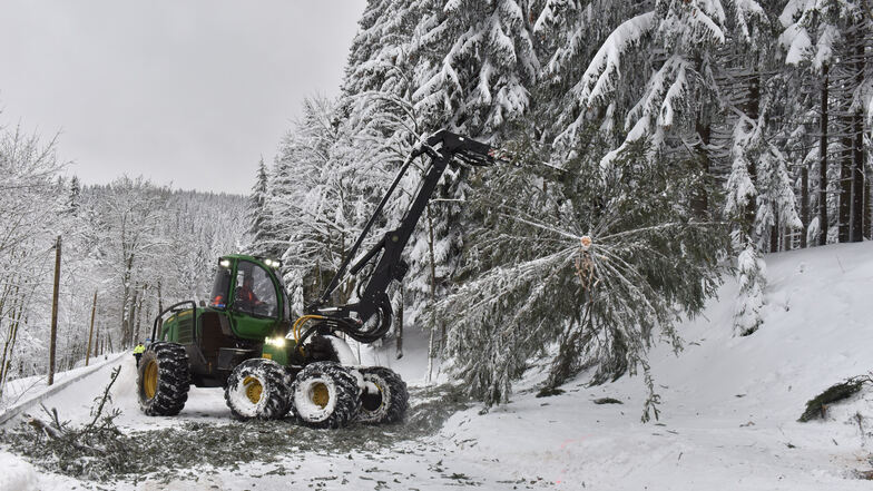 Zur Beseitigung des Schnee- und Eisbruchs kommen auch Harvester zum Einsatz, wie hier im Osterzgebirge.