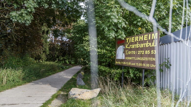 Die Lage ist verzwickt. Wer ab Januar das Tierheim Görlitz betreiben wird, steht gerade in den Sternen.