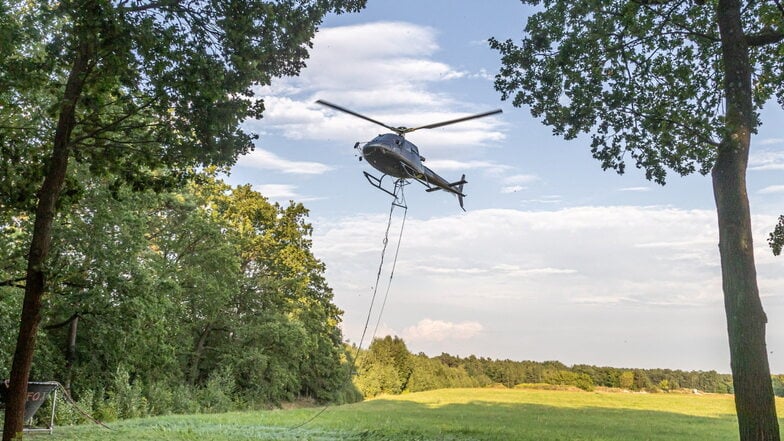 Wieso fliegen gerade Hubschrauber über Sachsens Wälder?