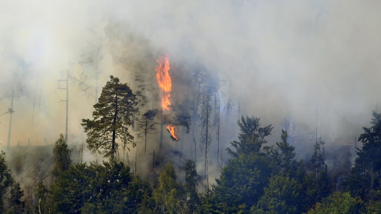 Der Waldbrand in der Böhmischen Schweiz breitet sich aus. Der Rauch zog bis weit nach Sachsen.