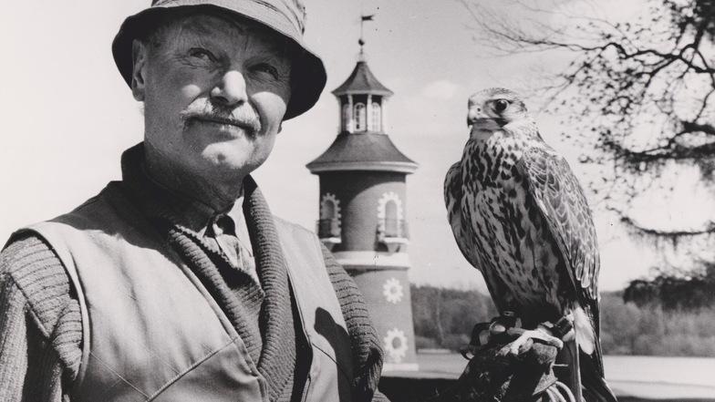 Dieter Zenker, Moritzburger und langjähriger Cheftierpfleger des Wildgeheges, war auch ein leidenschaftlicher Falkner.